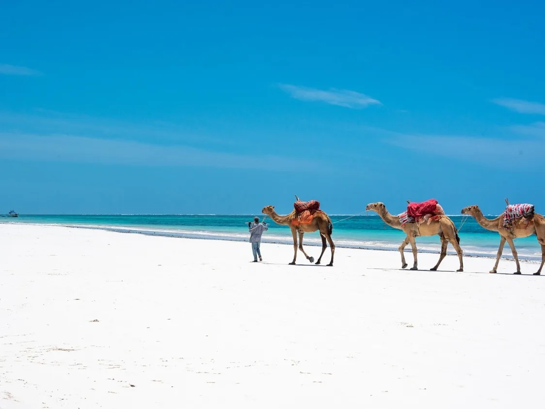 Experience Kenya's Wild Coast