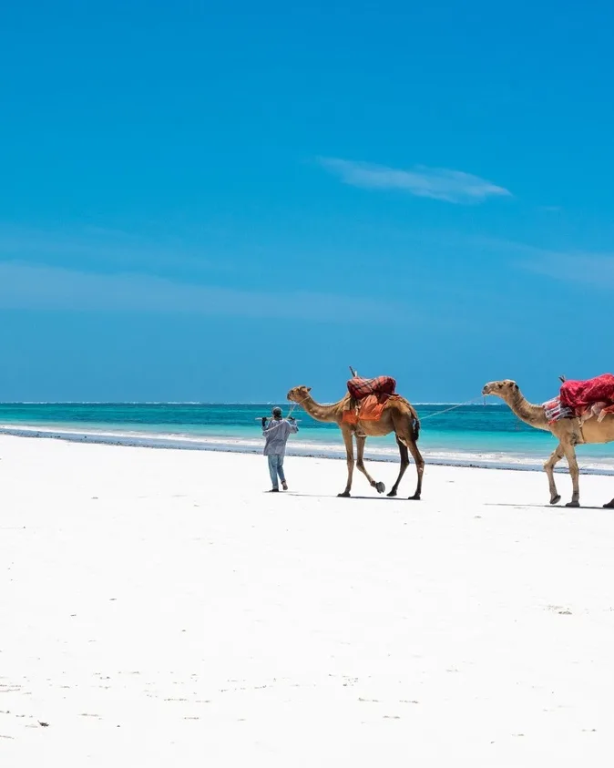 Experience Kenya's Wild Coast