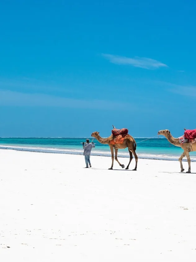 Experience Kenya's Wild Coast