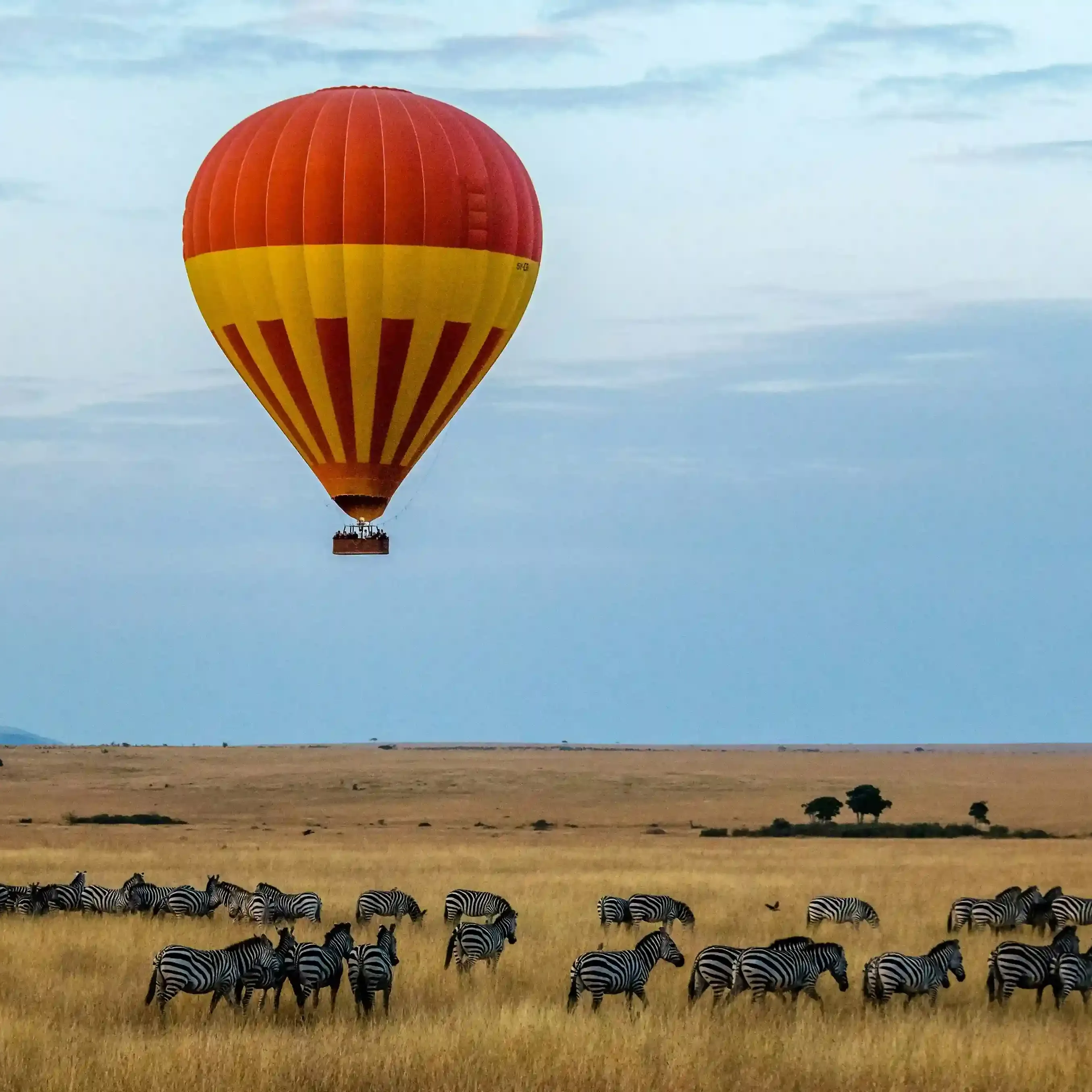 Hot air balloon flying over Maasai Mara at sunrise with wildlife below
