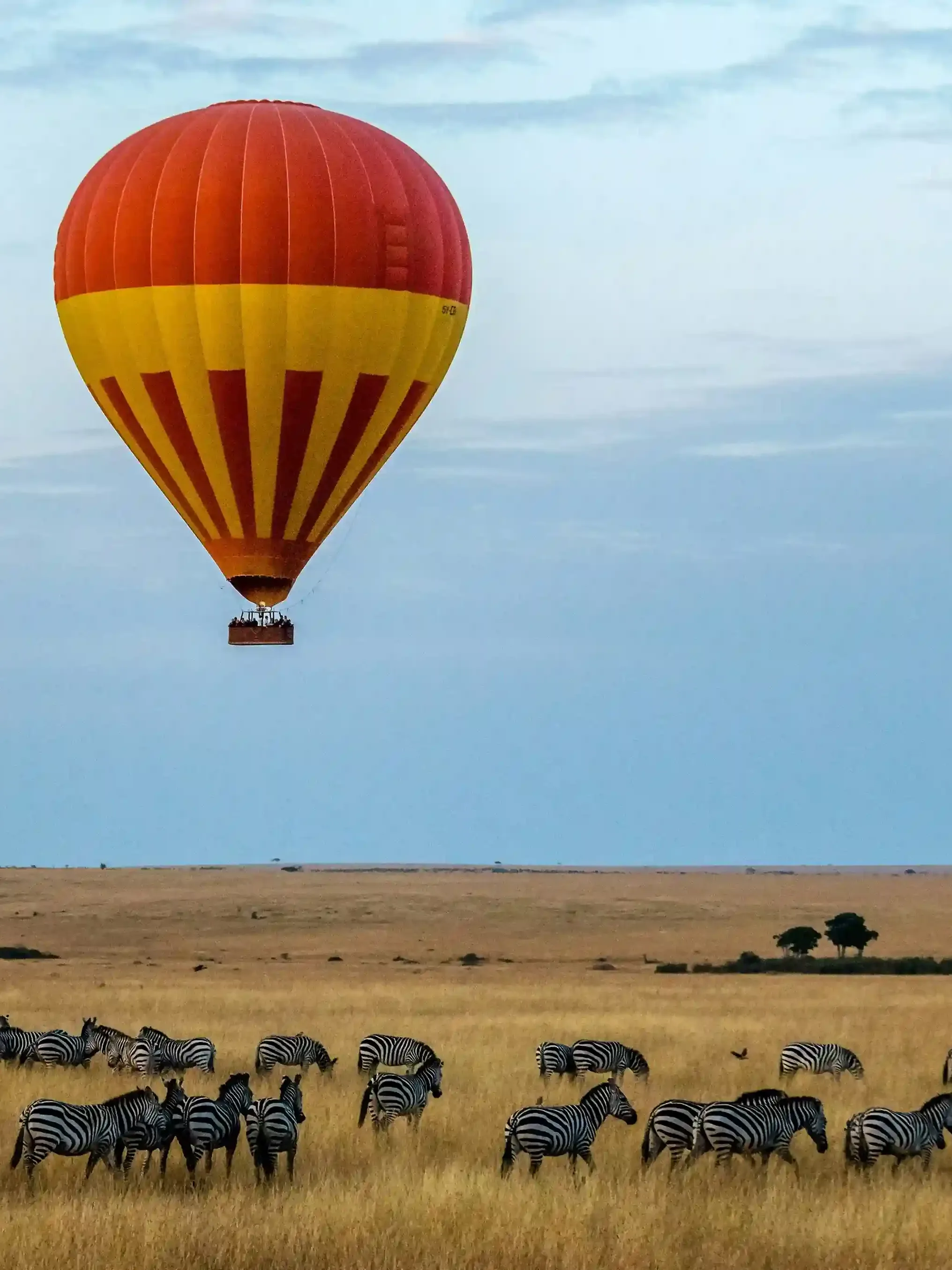 Hot air balloon flying over Maasai Mara at sunrise with wildlife below