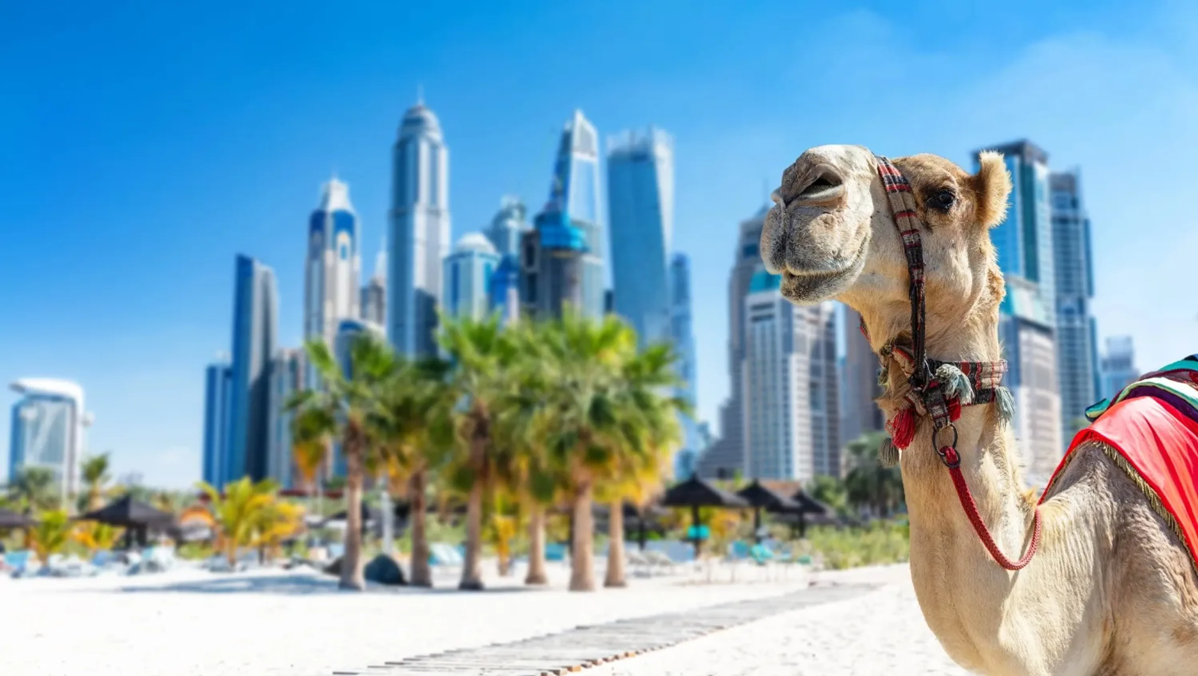 Dubai skyline and luxury attractions representing UAE leisure travel experiences