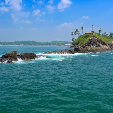 Whale watching excursion in Mirissa with ocean wildlife