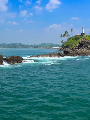 Whale watching excursion in Mirissa with ocean wildlife
