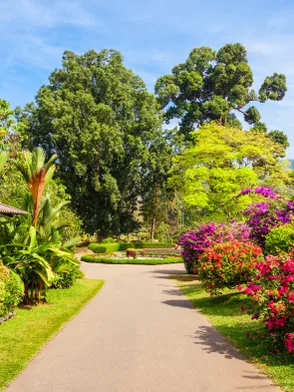 Royal Botanical Gardens in Peradeniya with tropical flora and landscaped grounds