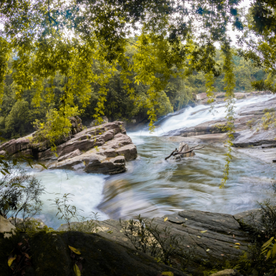 Trekkers hiking to a hidden waterfall in the rainforest near Kitulgala Sri Lanka