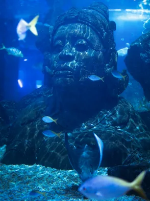 SEA LIFE Bangkok Ocean World aquarium with underwater tunnel