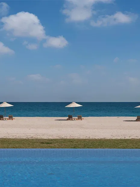 Sir Bani Yas Island wildlife safari with desert animals and natural landscape