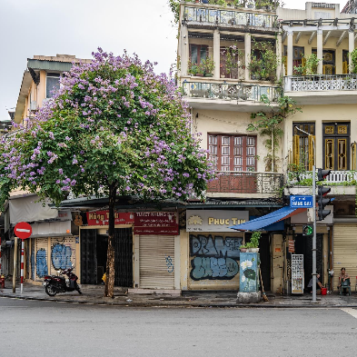 Hanoi Old Quarter with busy streets, local shops, and vibrant city life