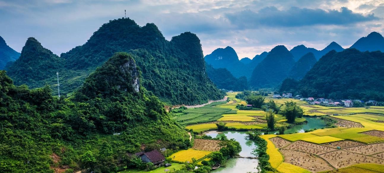 Beautiful Vietnam landscape featuring lush green fields and scenic countryside