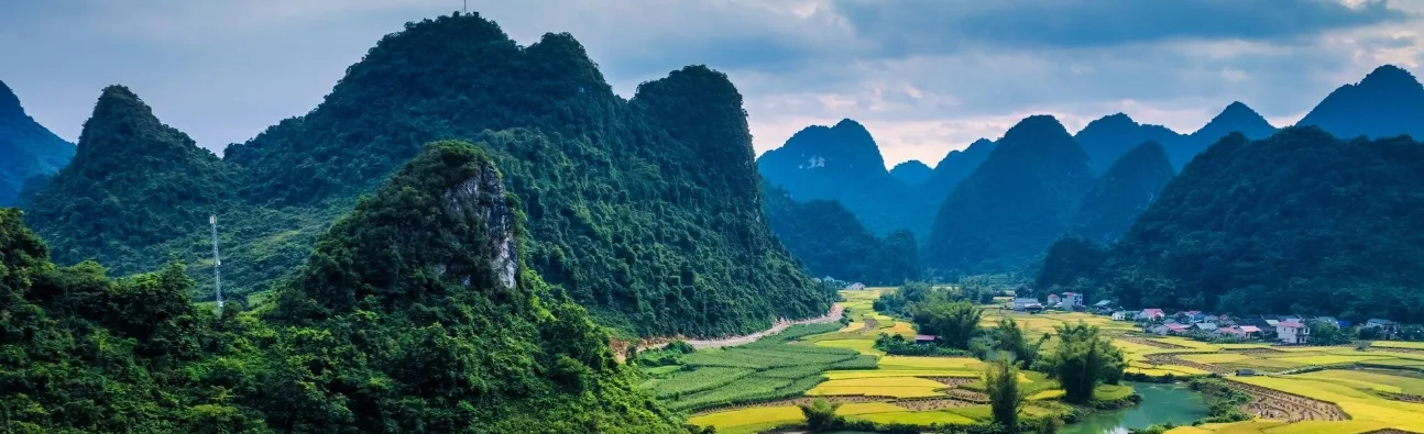Beautiful Vietnam landscape featuring lush green fields and scenic countryside