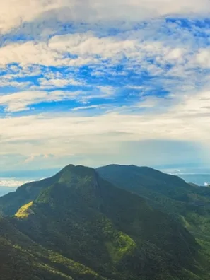 Discover the Island’s Finest