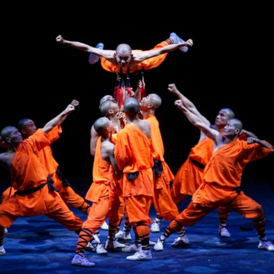 VIP reserved seating and backstage access at a Shaolin martial arts cultural performance