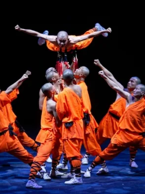 VIP reserved seating and backstage access at a Shaolin martial arts cultural performance