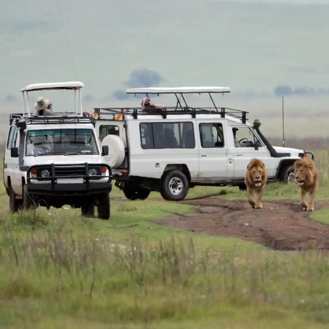 Maasai Mara — Kenya travel destination