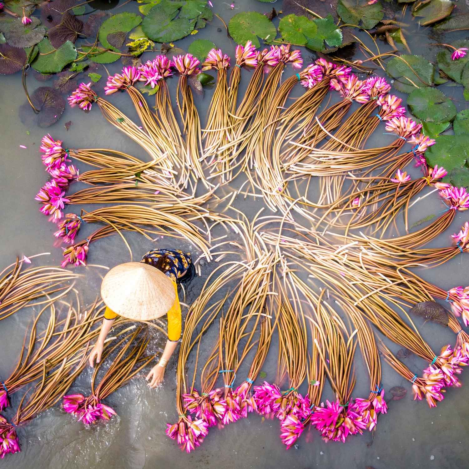 Floating markets and scenic river landscapes in the Mekong Delta, Vietnam