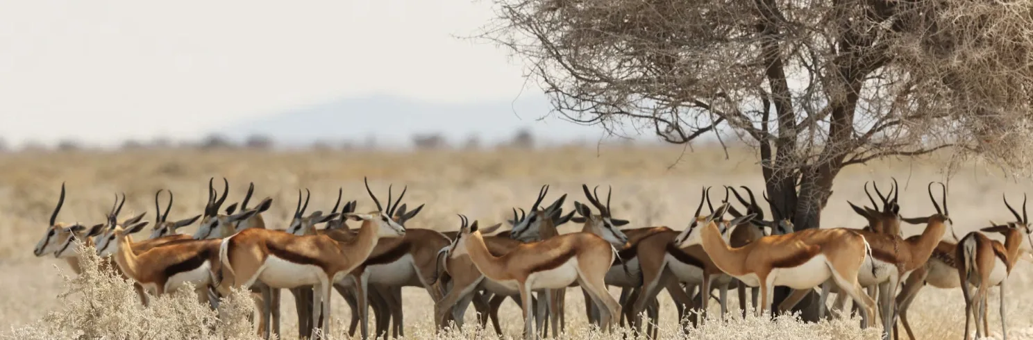 Maasai Mara National Reserve: Tickets, Entry Fees & Park Rules
