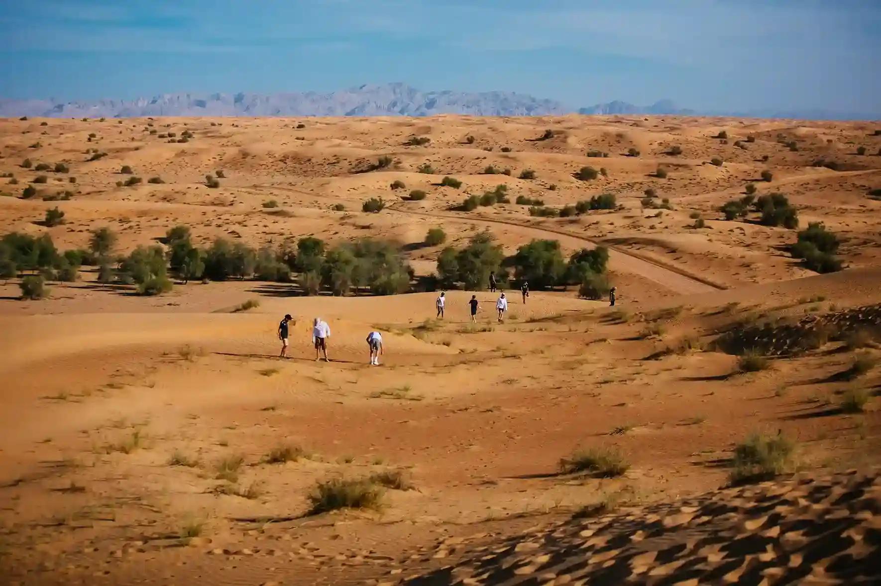 Luxury desert eco camp experience in Dubai desert reserve