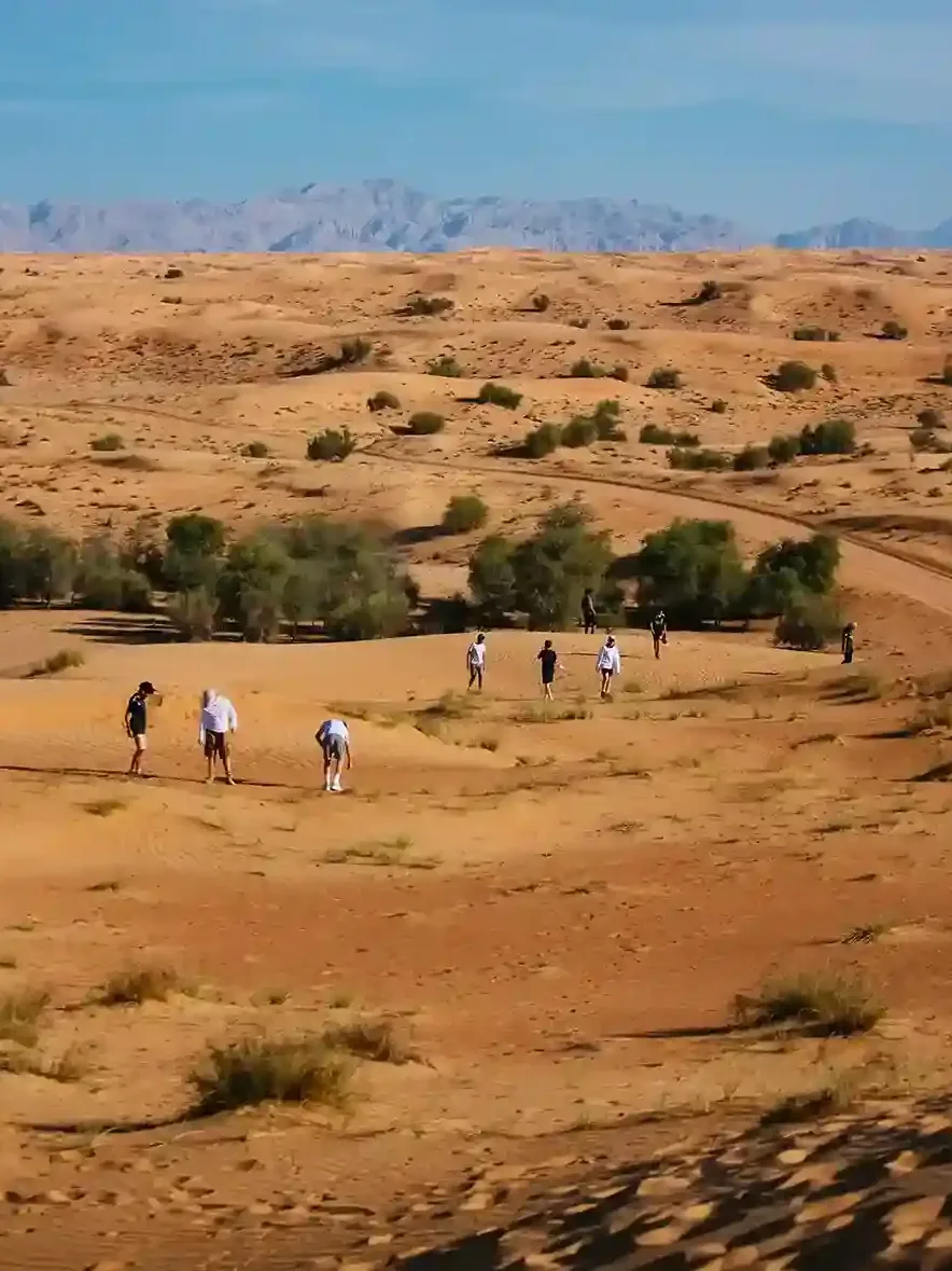 Luxury desert eco camp experience in Dubai desert reserve