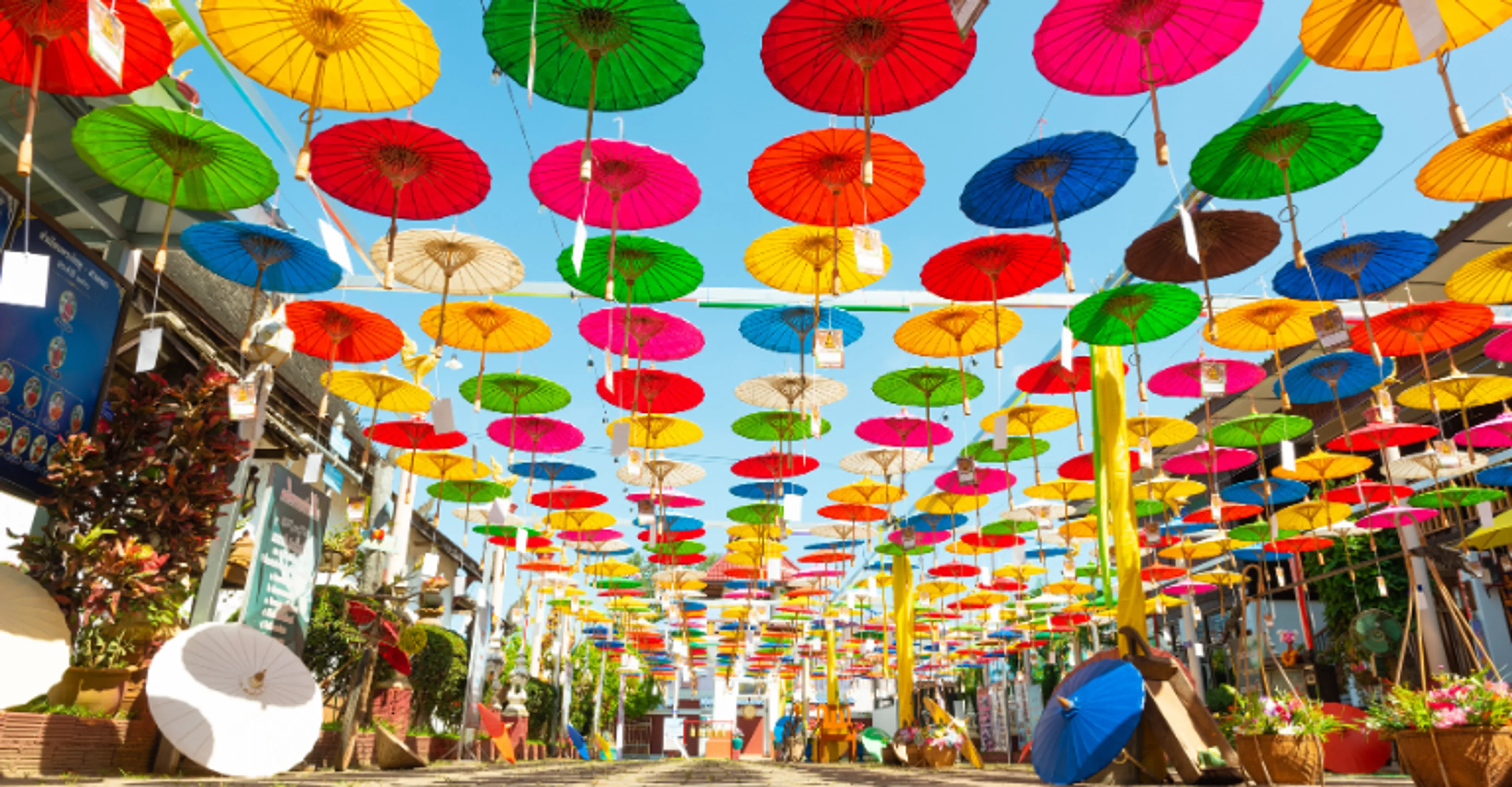 Colorful paper umbrellas hanging above a street in Chiang Mai, Thailand