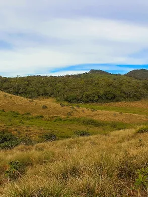 Hikers trekking across the misty grasslands of Horton Plains National Park towards World's End Sri Lanka