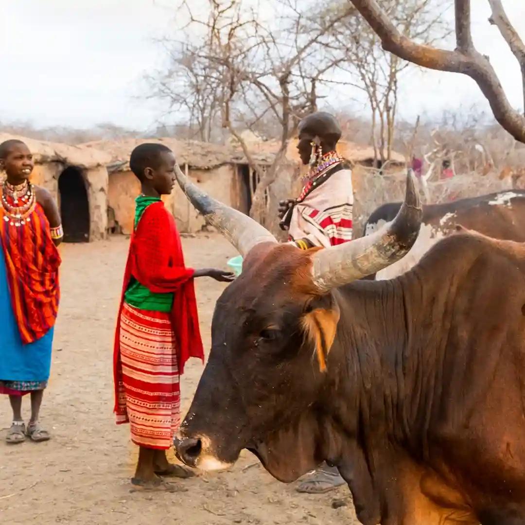 Maasai people performing traditional dance in a village in Maasai Mara