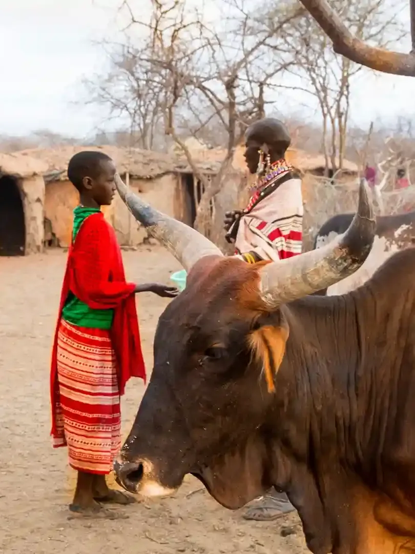 Maasai people performing traditional dance in a village in Maasai Mara