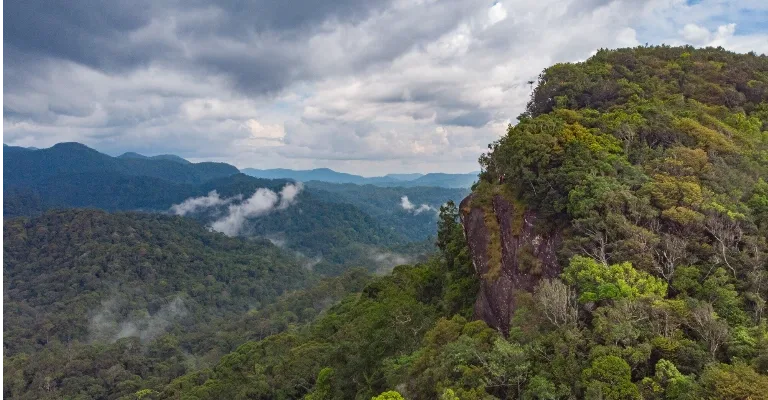 Aerial view of a rocky peak overlooking Sinharaja Forest.