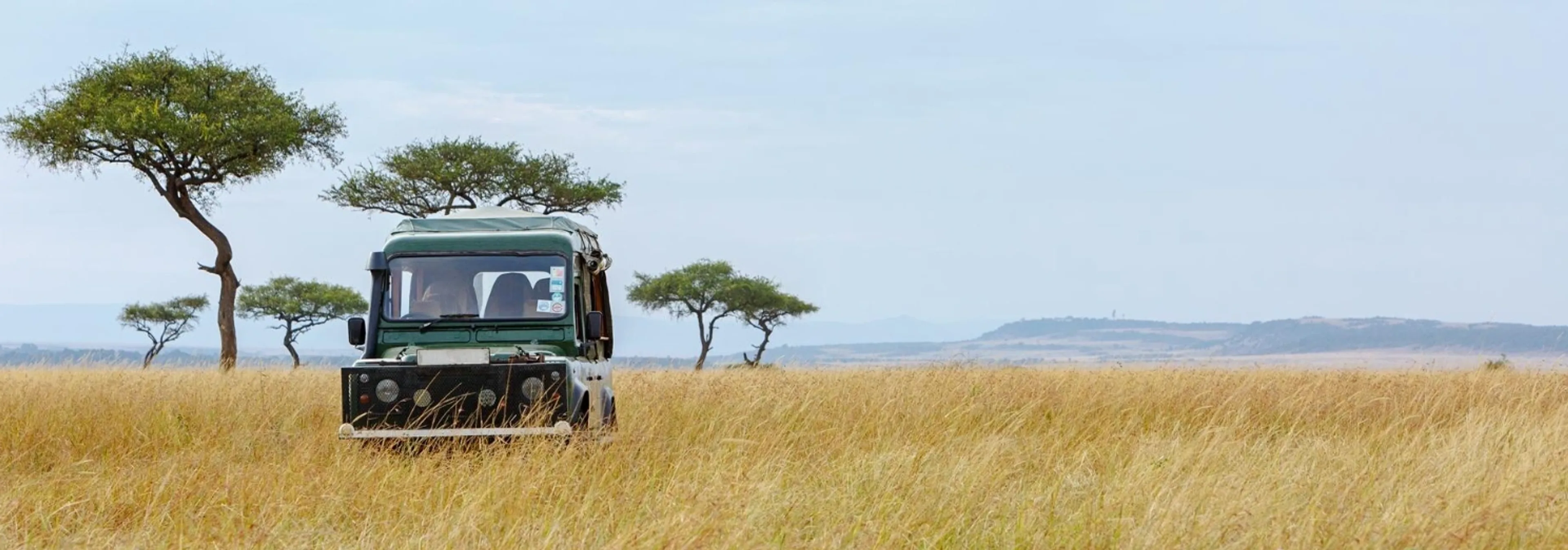 Lion and lioness in Maasai Mara National Reserve, Kenya safari experience