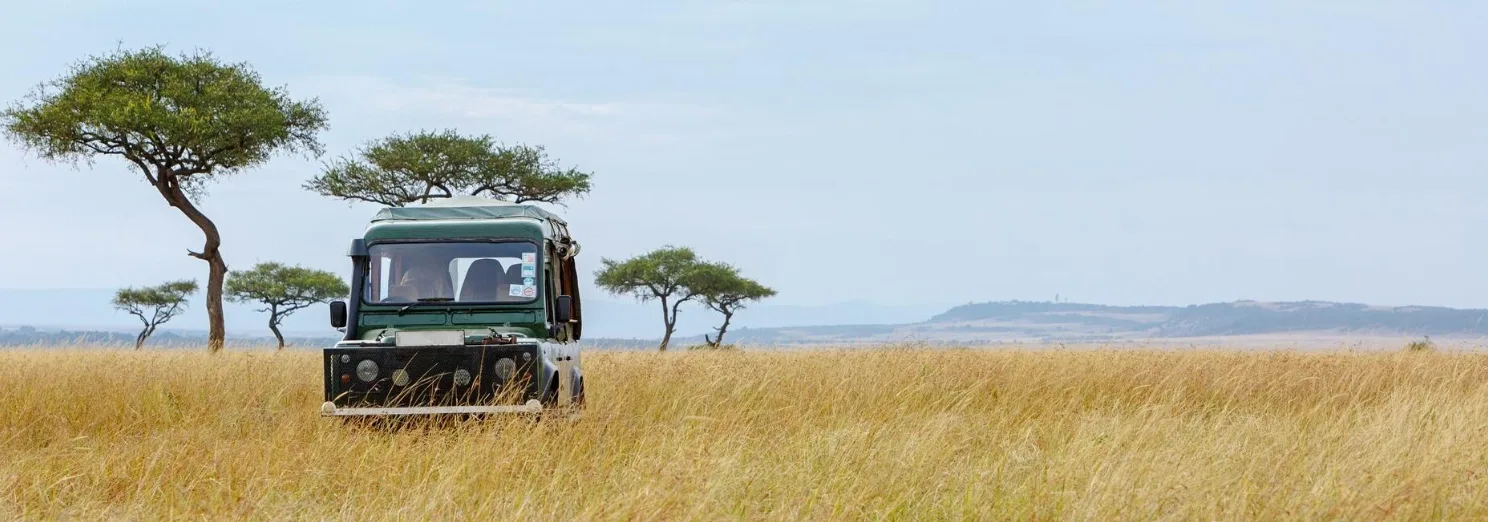 Lion and lioness in Maasai Mara National Reserve, Kenya safari experience