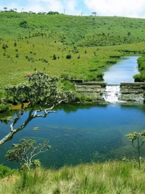 Scenic trekking trails in Horton Plains National Park