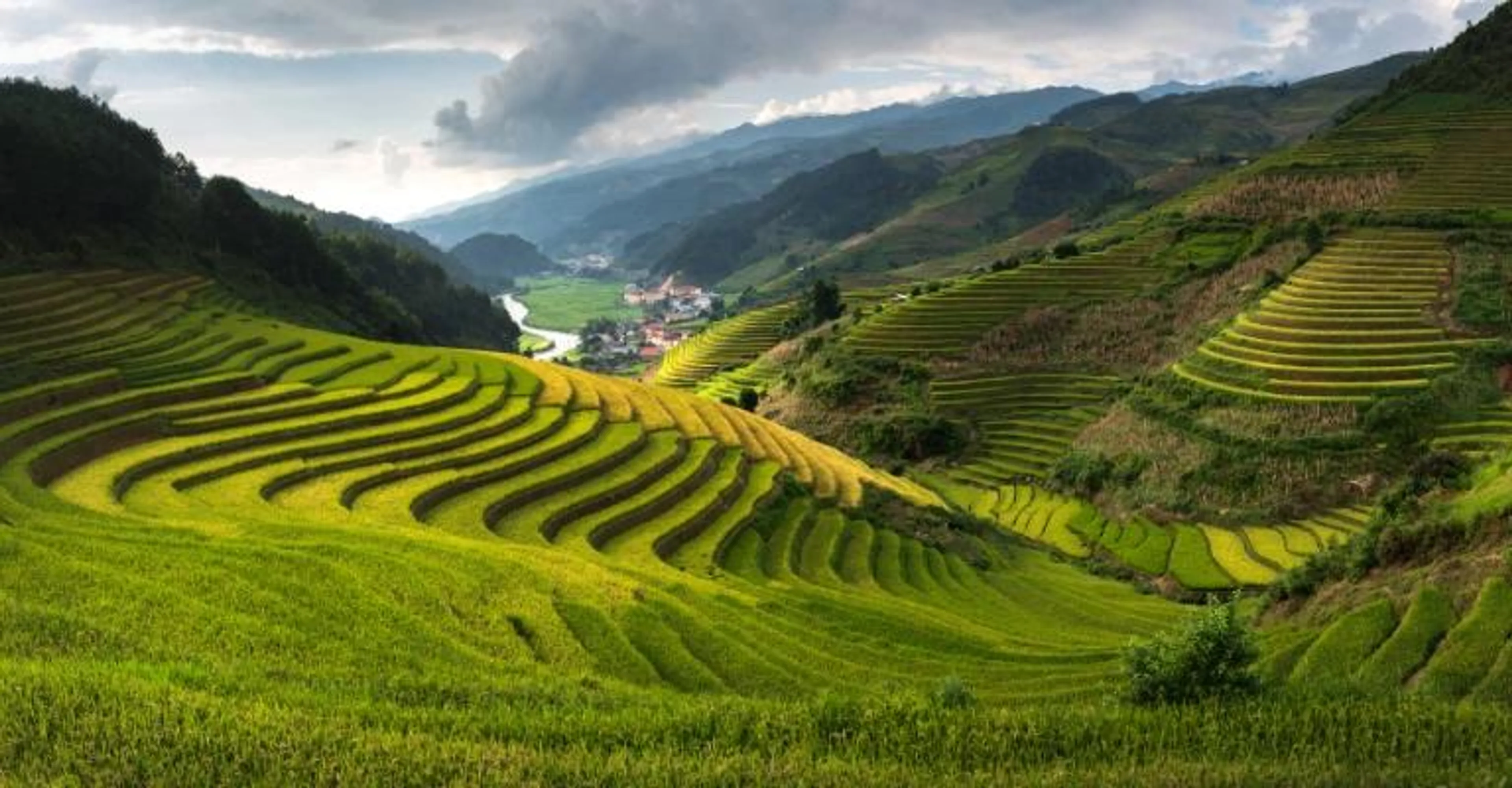 Terraced rice fields cascading down a misty valley near Sapa, with a small hillside village