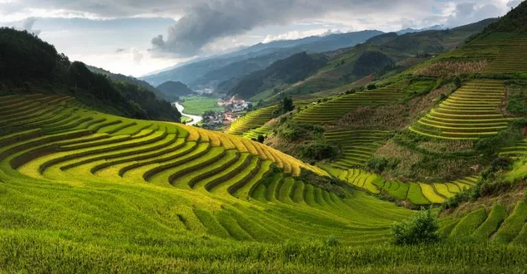 Terraced rice fields cascading down a misty valley near Sapa, with a small hillside village