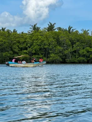 Boat safari on Koggala Lake through mangroves and islands