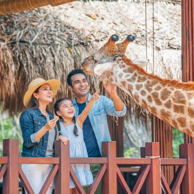 Vinpearl Safari in Phu Quoc with wildlife and open safari experiences