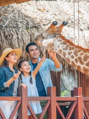 Vinpearl Safari in Phu Quoc with wildlife and open safari experiences