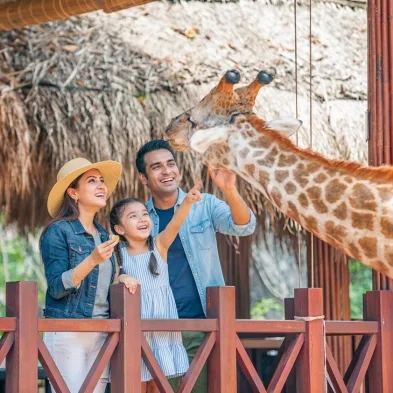 Vinpearl Safari in Phu Quoc with wildlife and open safari experiences