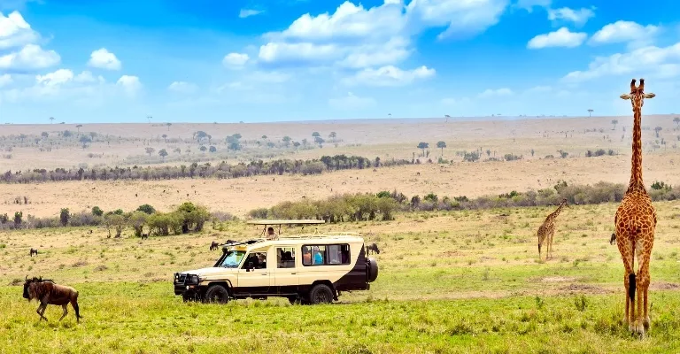 Safari vehicle on a game drive in the Masai Mara, Kenya