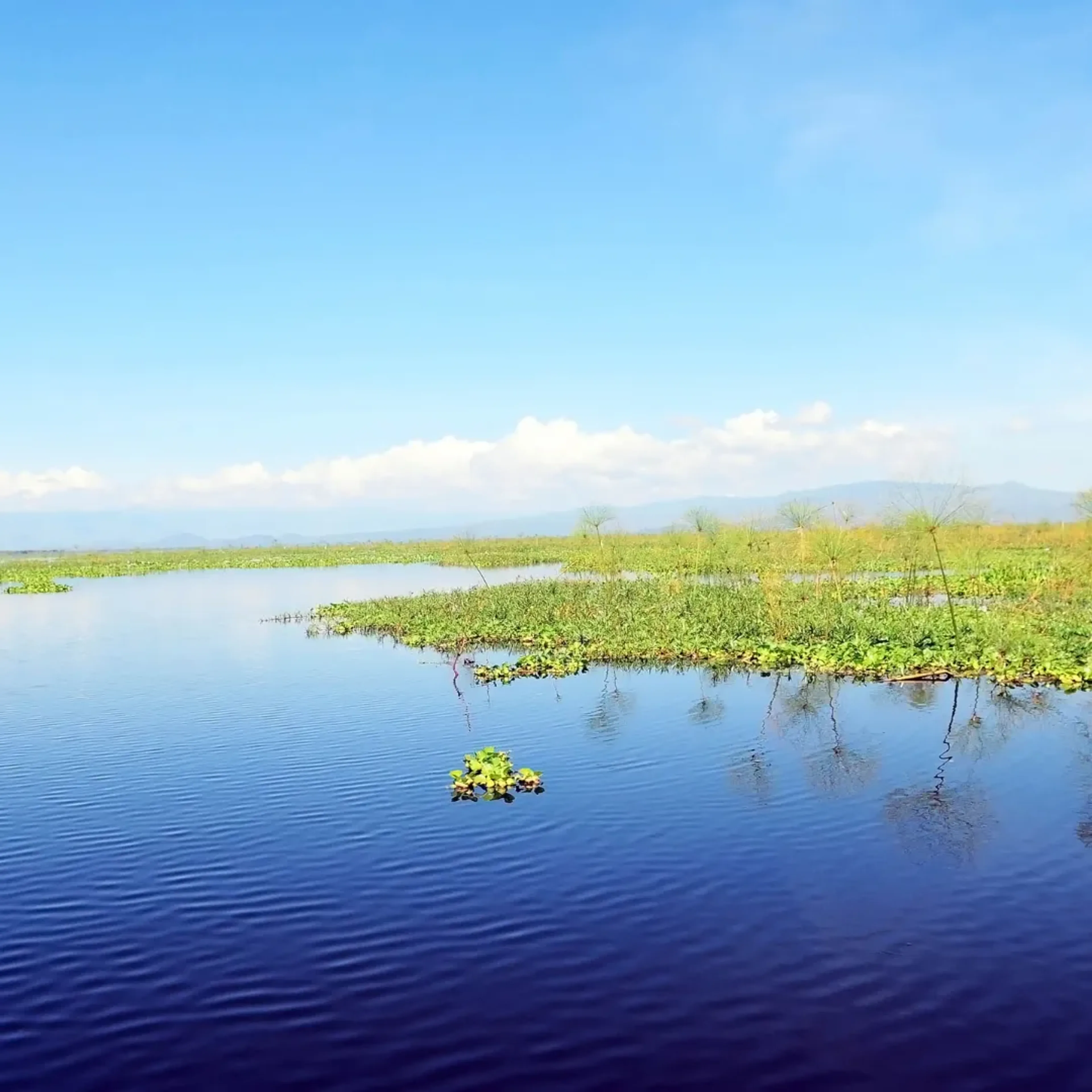 Luxury safari lodge in Kenya overlooking wildlife-rich plains, providing an immersive premium safari stay experience