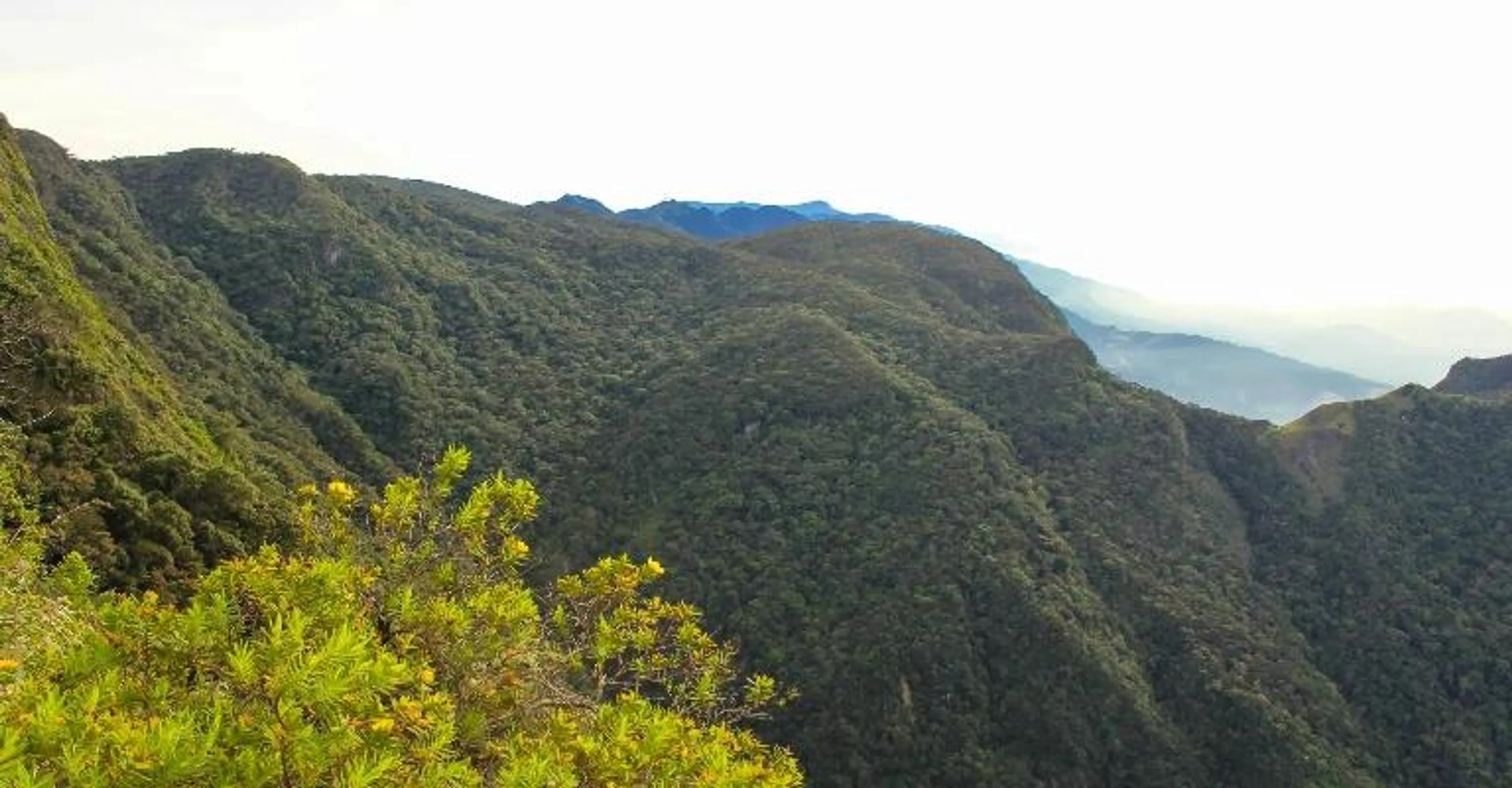 Misty green mountain ridges at Horton Plains.