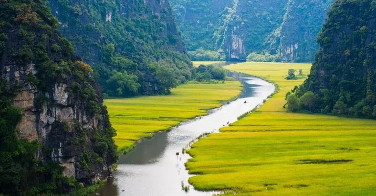 A river winding through emerald rice paddies between limestone cliffs in Ninh Binh