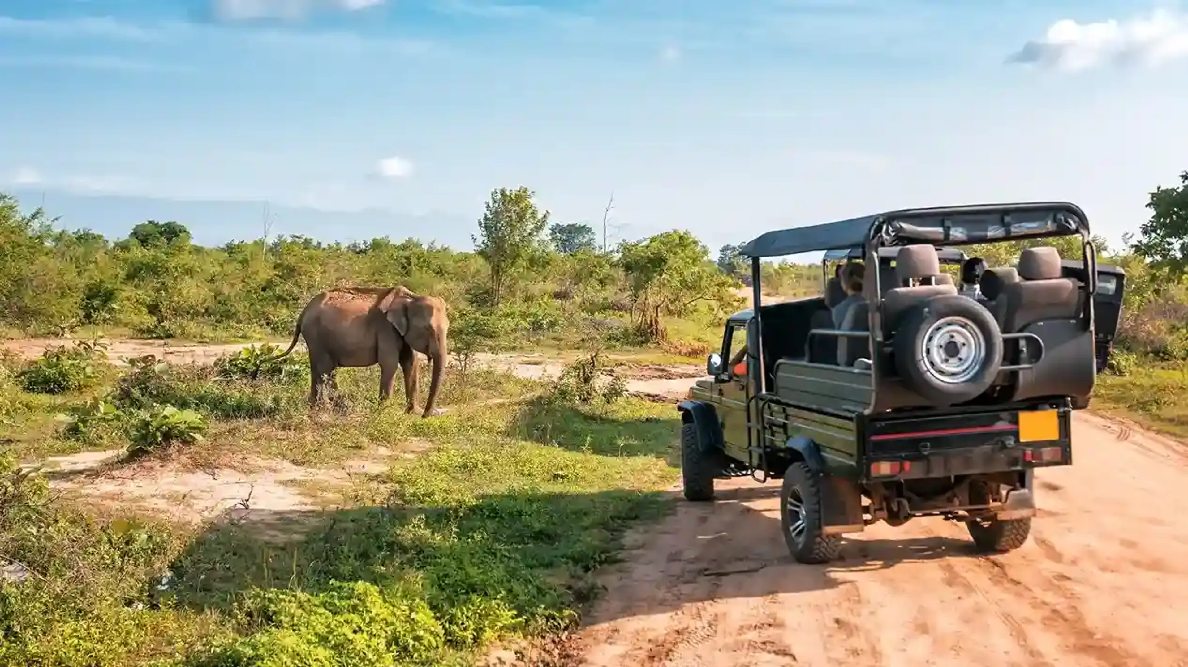 Vast Maasai Mara savannah in Kenya with elephants, giraffes, and acacia trees at sunrise, showcasing iconic safari experiences for travelers