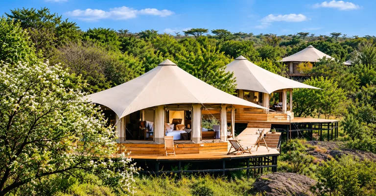 A luxury tented safari camp with canvas-roofed suites on raised wooden decks, surrounded by dense green trees