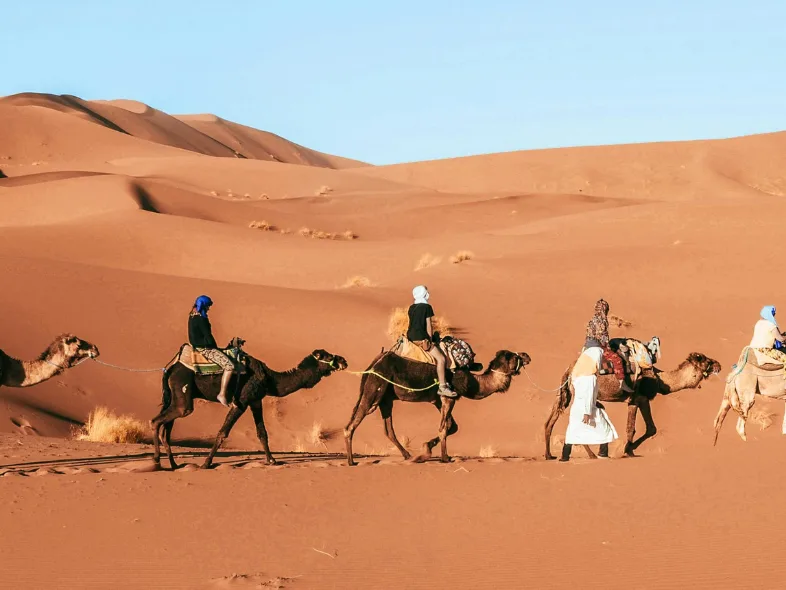 Camel caravan crossing desert sand dunes