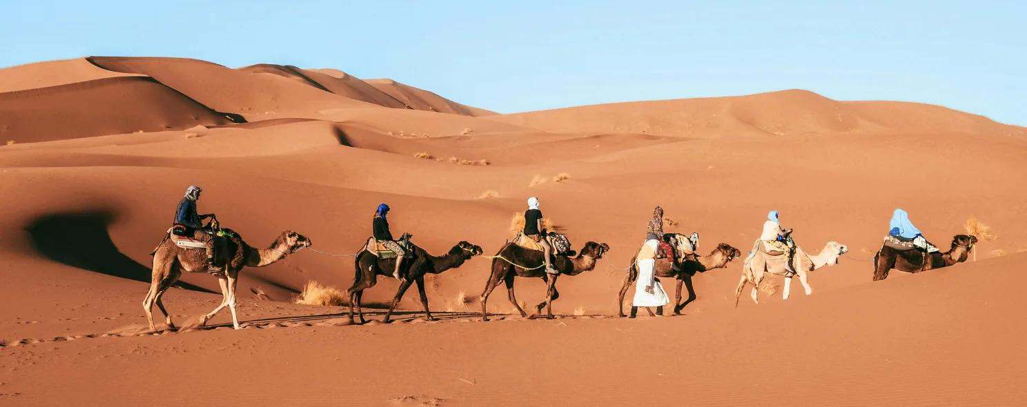 Camel caravan crossing desert sand dunes