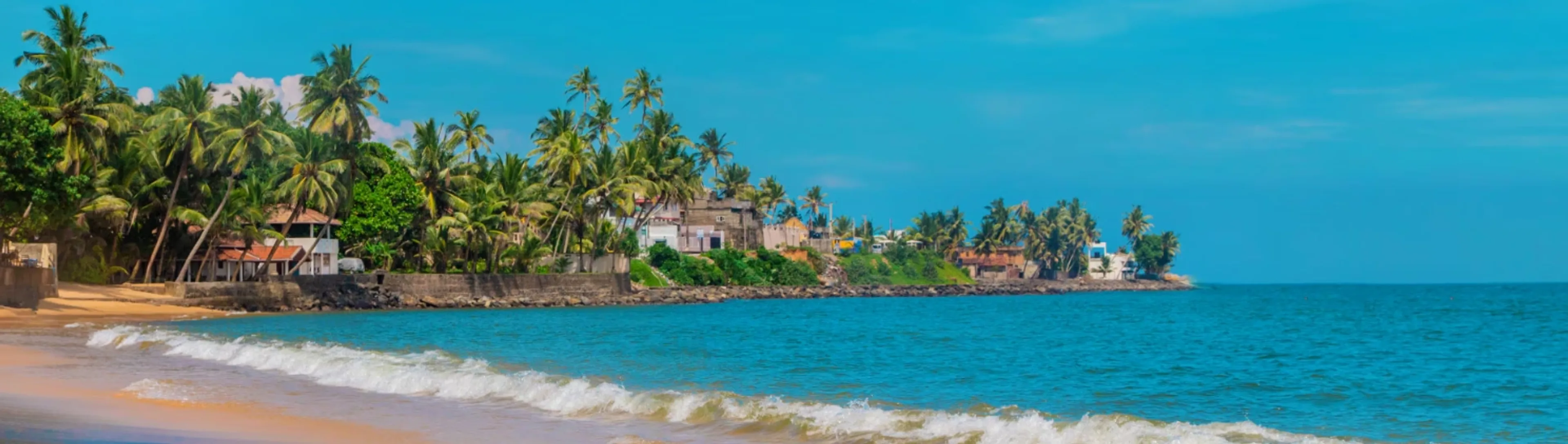 Aerial view of Sri Lanka landscape featuring lush greenery, coastline, and tropical scenery