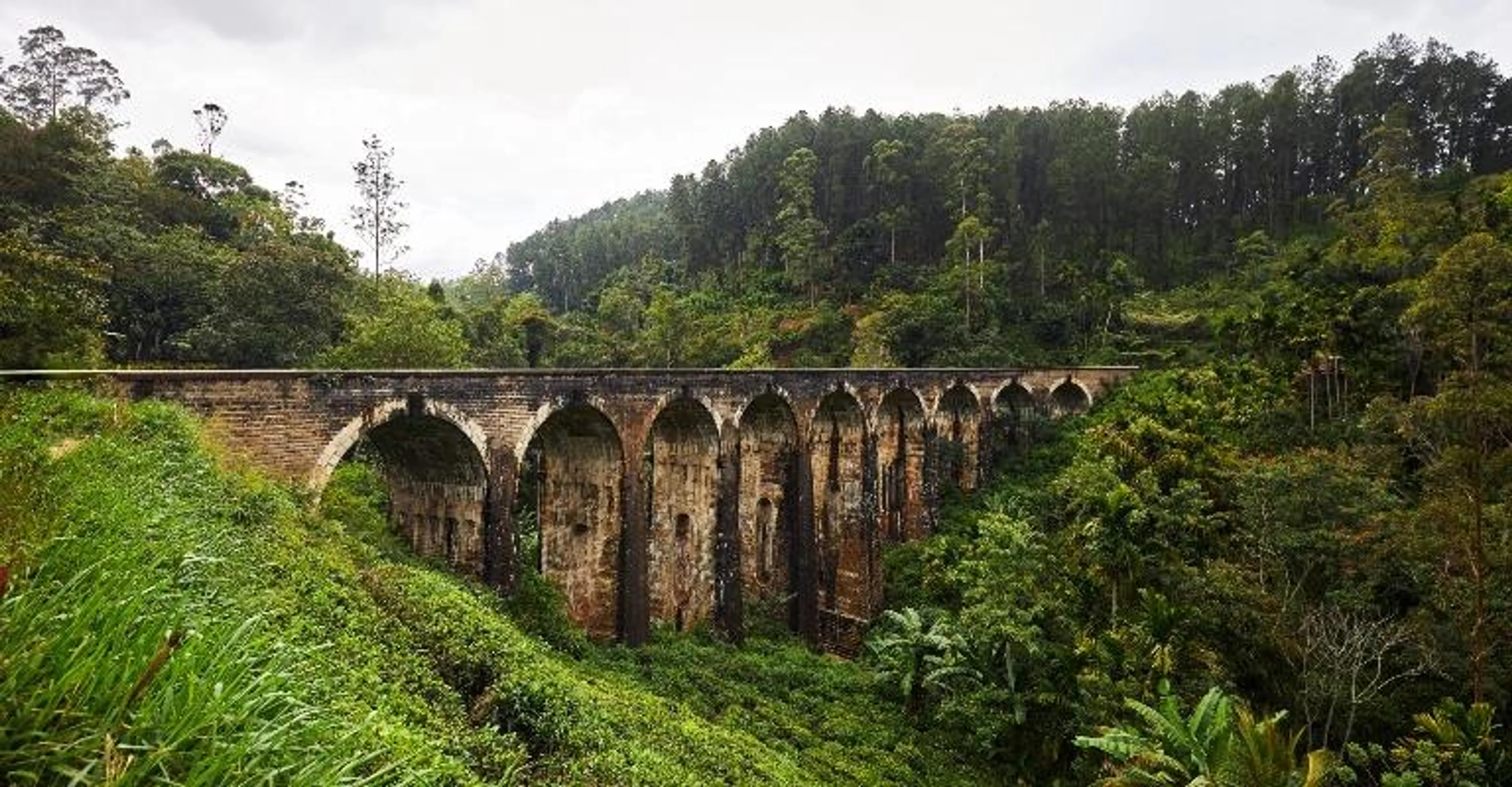 The Nine Arches Bridge surrounded by lush greenery in Ella.
