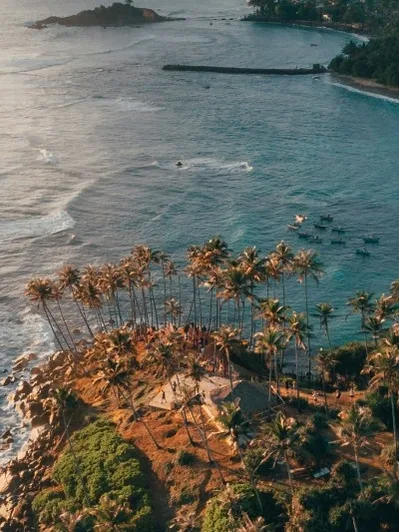A World in One Island