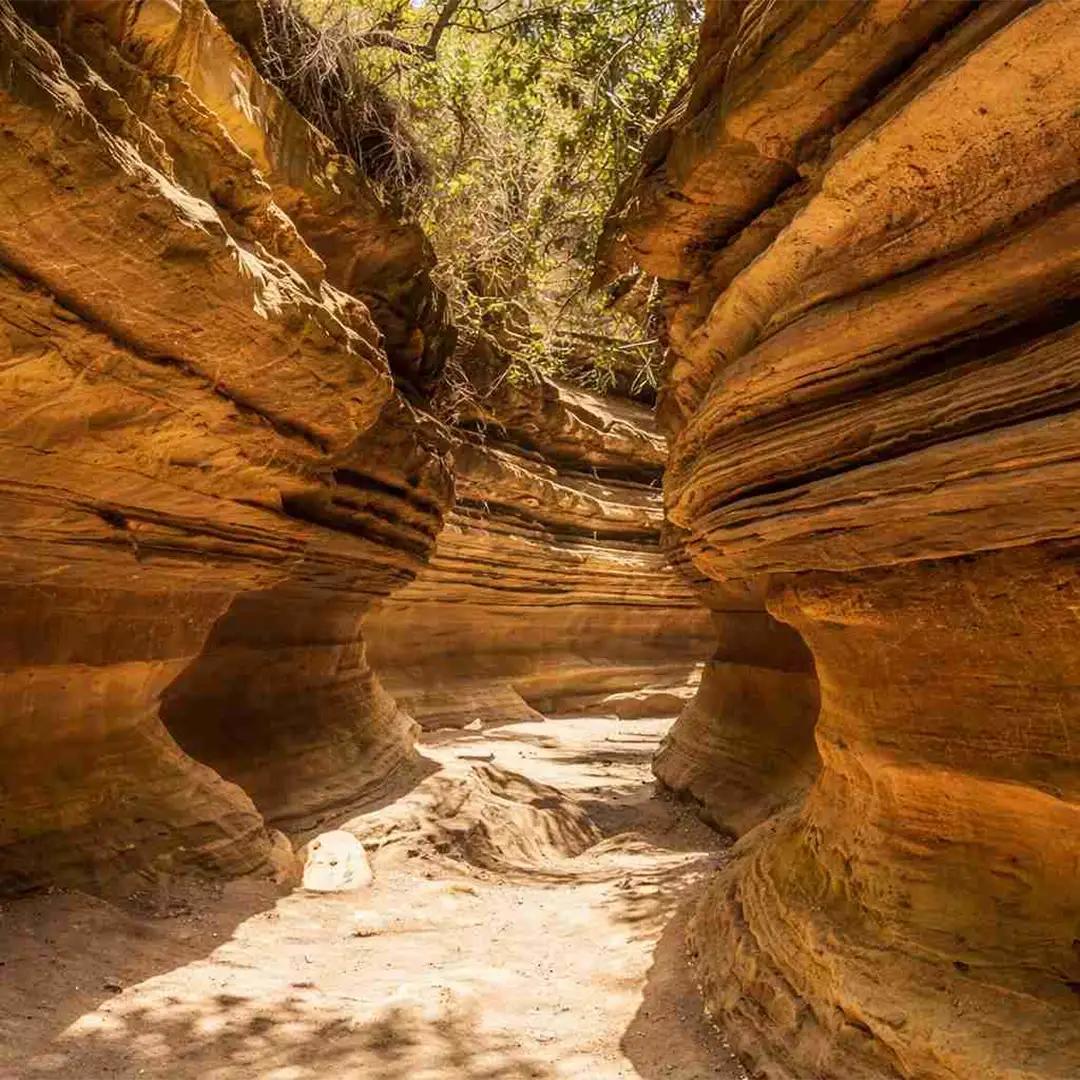 Cyclists and wildlife in Hell's Gate National Park with dramatic cliffs and rock formations