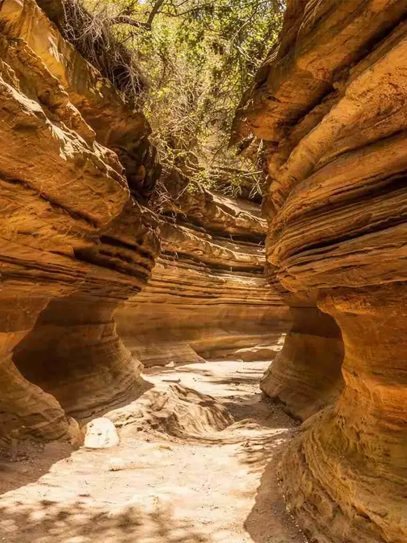 Cyclists and wildlife in Hell's Gate National Park with dramatic cliffs and rock formations